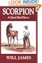 Scorpion, a Good Bad Horse (Tumbleweed)