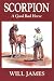 Book Scorpion: A Good Bad Horse (James, Will, Tumbleweed Series.)