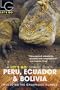 Let's Go 2003: Peru, Ecuador & Bolivia
