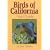 Birds of California Field Guide (Our Nature Field Guides)