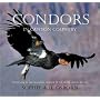Condors in Canyon Country: The Return of the California Condor to the Grand Canyon Region
