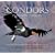 Condors in Canyon Country: The Return of the California Condor to the Grand Canyon Region