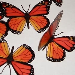 TRANSLUCENT BUTTERFLY MONARCH - 15 TRANSPARENT MONARCH BUTTERFLIES