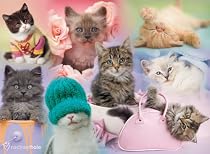 Rachael Hale Cats 1000 Piece Jigsaw