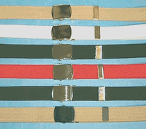 Fabric Belts...Brass Finish Buckle...Great Buy!