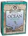 Professor Noggin Life In The Ocean Card Game