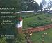Search : Washington's Gardens at Mount Vernon