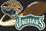 NFL Jacksonville Jaguars 20-Inch-by-30-Inch Tufted Rug