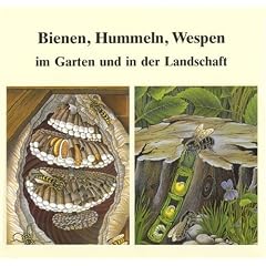 Bienen, Hummeln, Wespen im Garten und in der Landschaft. Honigbienen, Hummeln, Solit�rbienen, Wespen und Hornissen