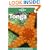 Lonely Planet Tonga