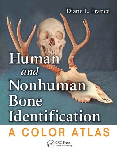 Human and Nonhuman Bone Identification: A Color Atlas On Sale