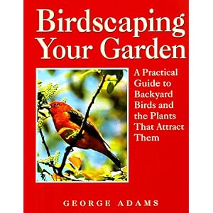Birdscaping Your Garden Practical Backyard