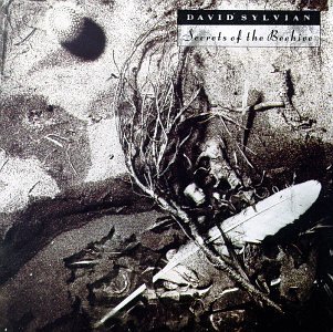 David Sylvian