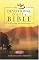 The Devotional Daily Bible: Arranged in 365 daily readings with devotional insights