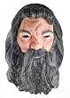 Adult Latex Hagrid Mask - Adult Std.