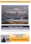 How to Paint a Seascape in Oils - STORMY BEACH