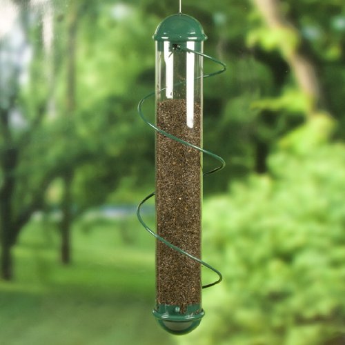 Bird Quest SBF2G 17 - Green