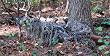 Ghillie Paintball Camouflage Rifle Wrap Synthetic