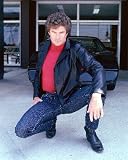DAVID HASSELHOFF 24x36 COLOR POSTER PRINT