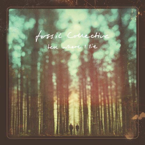 Fossil Collective - Tell Where I Lie (2013 Bonus Track Version) - Zortam Music