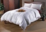 Goose Down Comforter