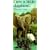 I Am a Little Elephant: Large (Barron's Little Animal Series)