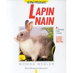 Le lapin nain