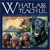 What Labs Teach Us...: Life's Lessons Learned from Labrador Retrievers