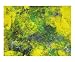 Blast of Spring Abstract Giclee Poster Print by Karla Becker, 10x8