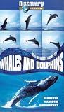 Ultimate Guide To Whales And Dolphins [2003]