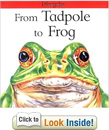 From Tadpole to Frog (Lifecycles)