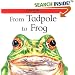 From Tadpole to Frog (Lifecycles)