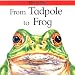 From Tadpole to Frog (Lifecycles)