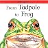 From Tadpole to Frog (Lifecycles)