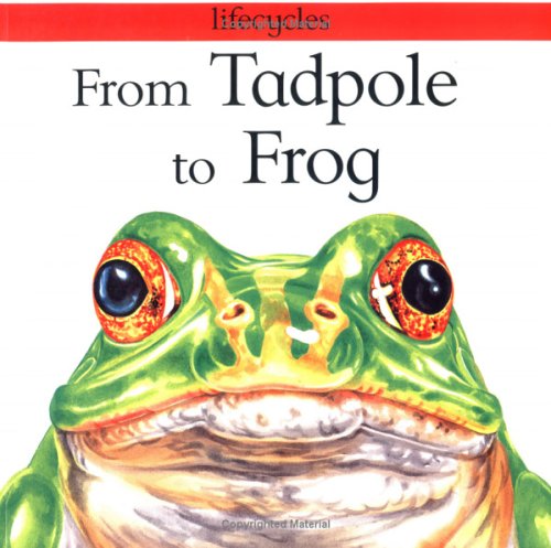 From Tadpole to Frog (Lifecycles)