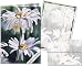 Shasta Parade - Stationery Gift Set (20 sheets and 12 envelopes)