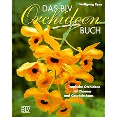 Das BLV Orchideenbuch