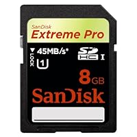 SanDisk Flash 8 GB SDHC Flash Memory Card SDSDXP1-008G Black