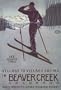 BEAVER CREEK COLORADO USA MOUNTAIN SKI SKIING WINTER SPORTS LARGE VINTAGE POSTER REPRO