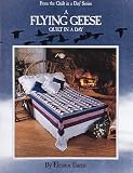 A Flying Geese Quilt in a Day (From the Quilt in a Day Series)