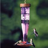 Paradise Hummingbird Feeder - Amethyst