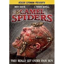 Camel Spiders