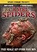 Camel Spiders