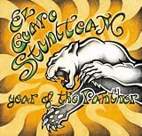 Year of the Panther [VINYL]
