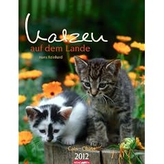 Katzen auf dem Lande 2012 / Cats 2012 / Chats 2012