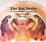 The rat brain