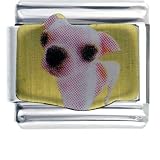 Animal Photo Chihuahua White Italian Charm Link Bracelet