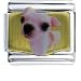 chihuahua41  - Chihuahua White Animal Photo Italian Charms Bracelet Link