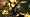 BioShock