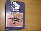 Flight of the storm petrel